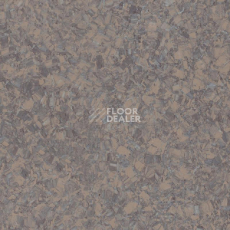 Линолеум Tarkett iq Megalit GRAPHITE SANT 0620 фото 1 | FLOORDEALER